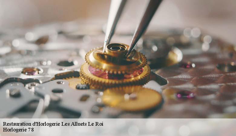 Restauration d'Horlogerie  les-alluets-le-roi-78580 Horlogerie 78