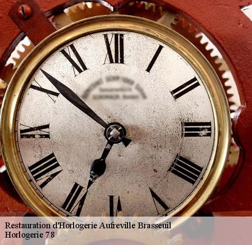 Restauration d'Horlogerie  aufreville-brasseuil-78930 Horlogerie 78