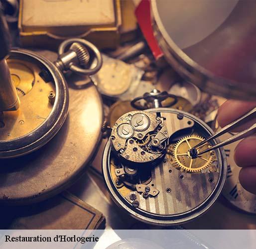 Restauration d'Horlogerie  elisabethville-78410 Horlogerie 78