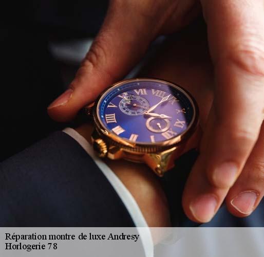 Réparation montre de luxe  andresy-78570 Horlogerie 78