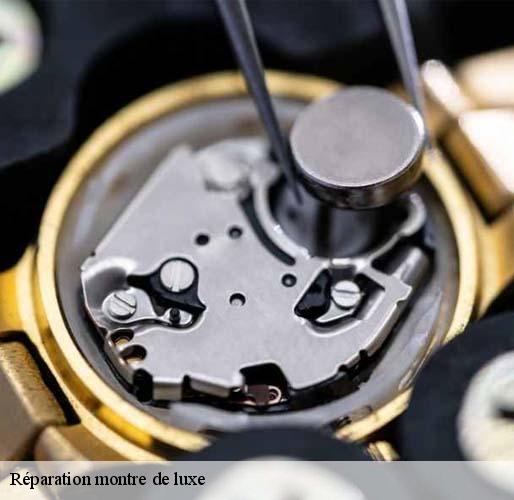 Réparation montre de luxe  feucherolles-78810 Horlogerie 78