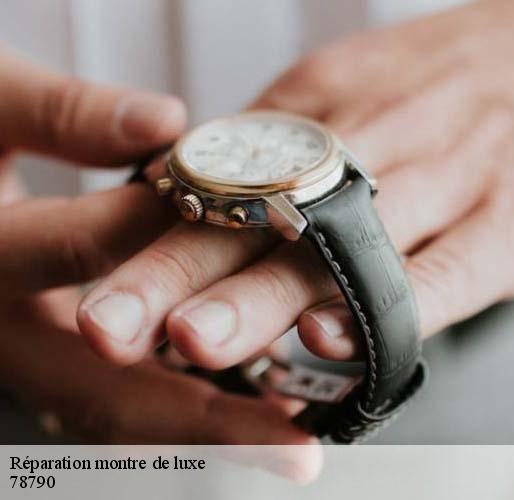 Réparation montre de luxe  flins-neuve-eglise-78790 Horlogerie 78